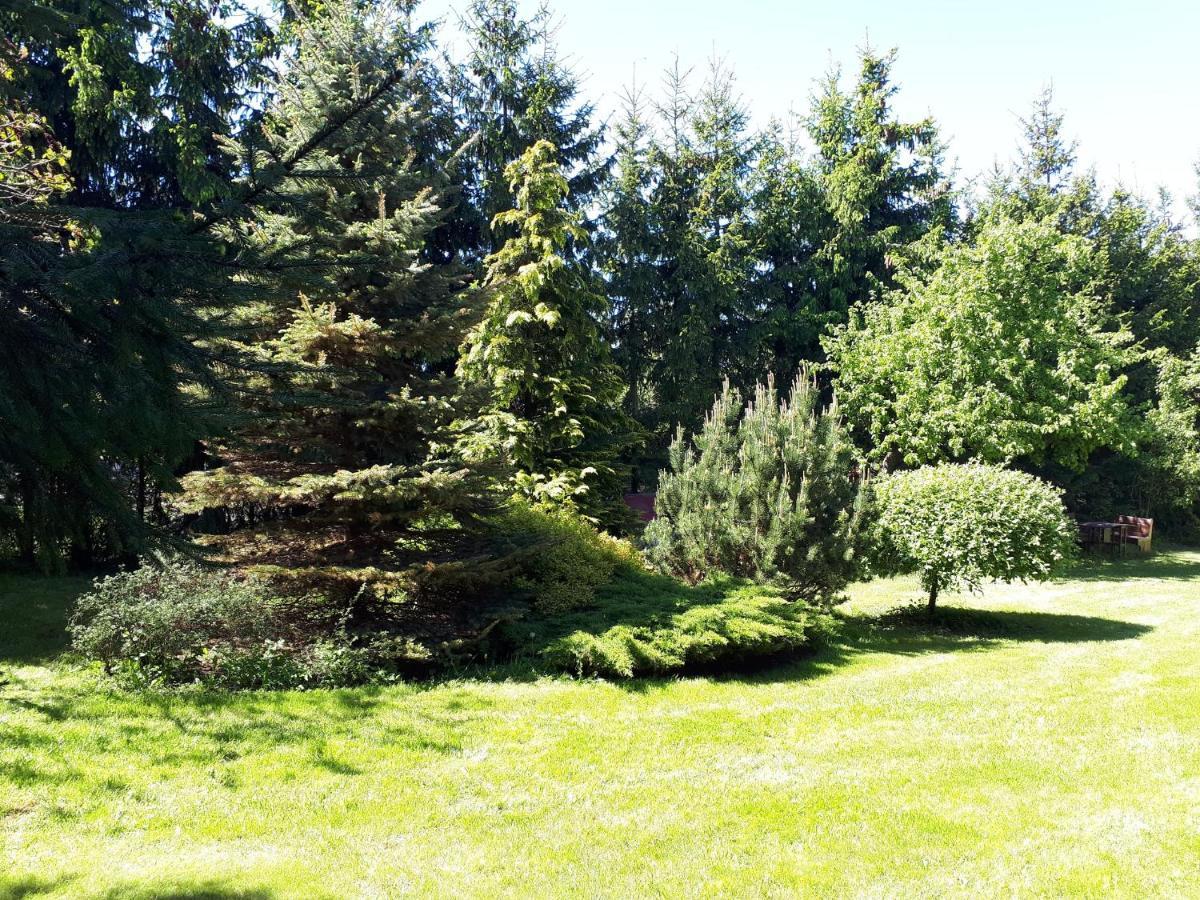 Agroturystyka Druzno Elblag Dış mekan fotoğraf